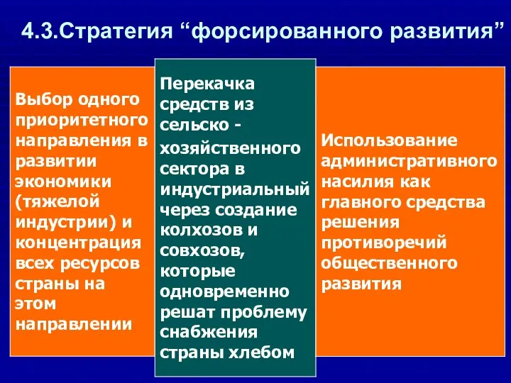 4.3.Стратегия “форсированного развития”