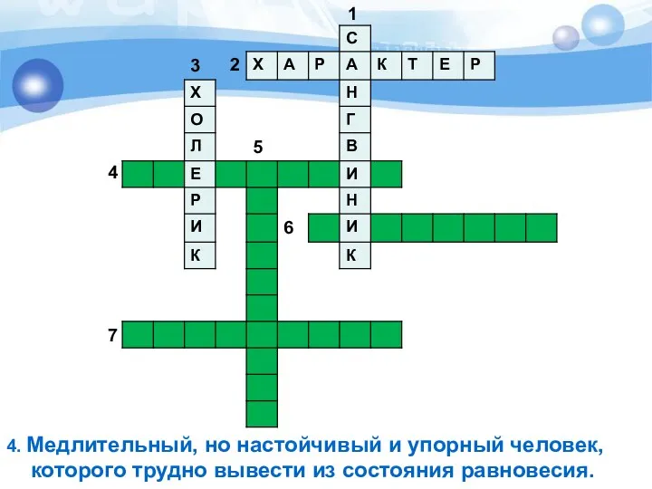 4. Медлительный, но настойчивый и упорный человек, которого трудно вывести