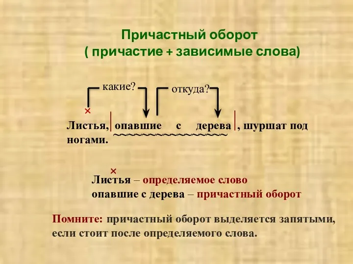 Причастный оборот ( причастие + зависимые слова) Листья, опавшие с