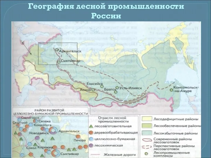 География лесной промышленности России