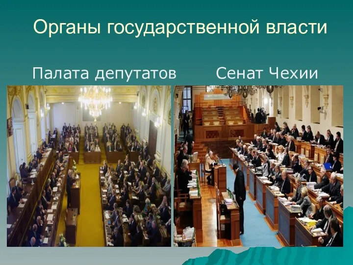 Органы государственной власти Палата депутатов Сенат Чехии