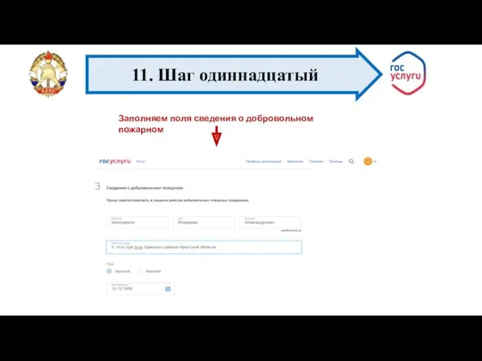 Заполняем поля сведения о добровольном пожарном