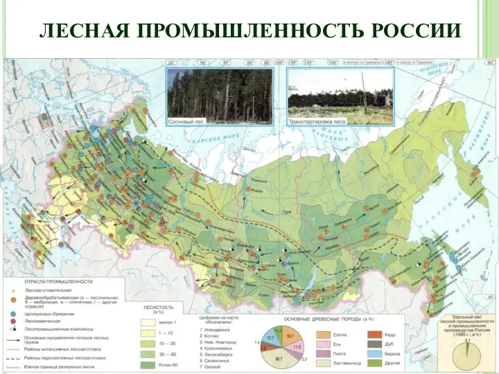 ЛЕСНАЯ ПРОМЫШЛЕННОСТЬ РОССИИ