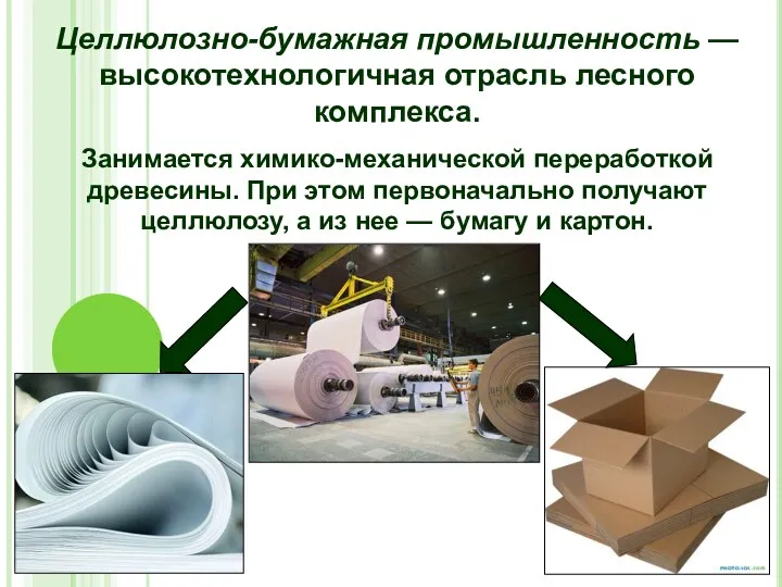 Целлюлозно-бумажная промышленность — высокотехнологичная отрасль лесного комплекса. Занимается химико-механической переработкой древесины. При этом