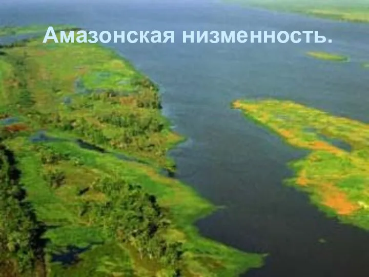 Амазонская низменность.