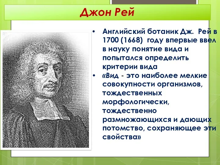 Английский ботаник Дж. Рей в 1700 (1668) году впервые ввел