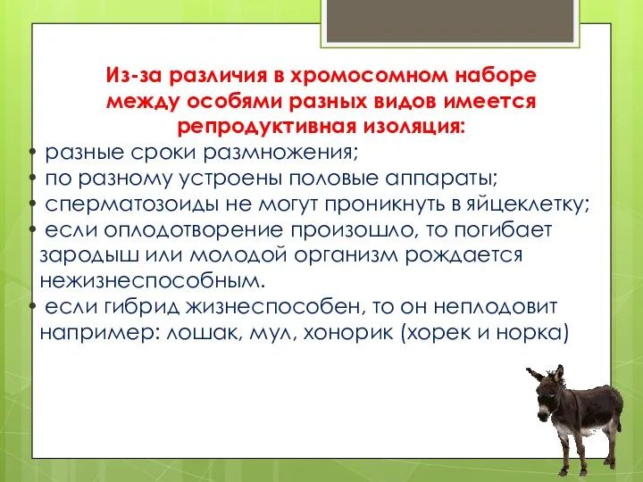 Из-за различия в хромосомном наборе между особями разных видов имеется