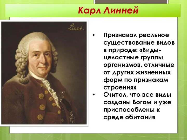 Признавал реальное существование видов в природе: «Виды-целостные группы организмов, отличные