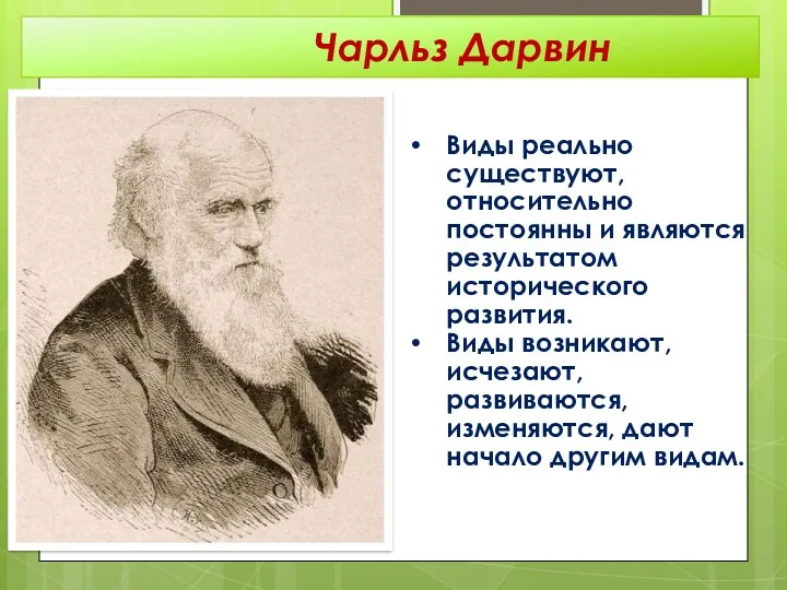 Виды реально существуют, относительно постоянны и являются результатом исторического развития.