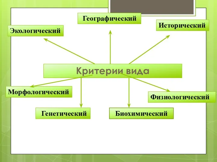 Критерии вида Морфологический Генетический Физиологический Экологический Географический Исторический Биохимический