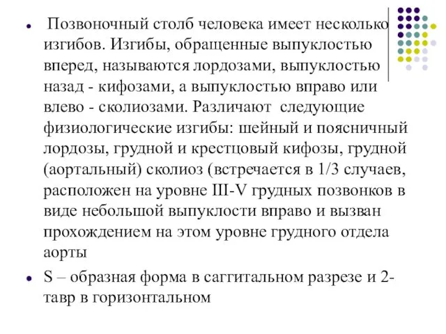 Позвоночный столб человека имеет несколько изгибов. Изгибы, обращенные выпуклостью вперед,