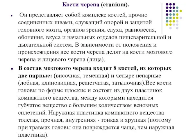 Кости черепа (cranium). Он представляет собой комплекс костей, прочно соединенных