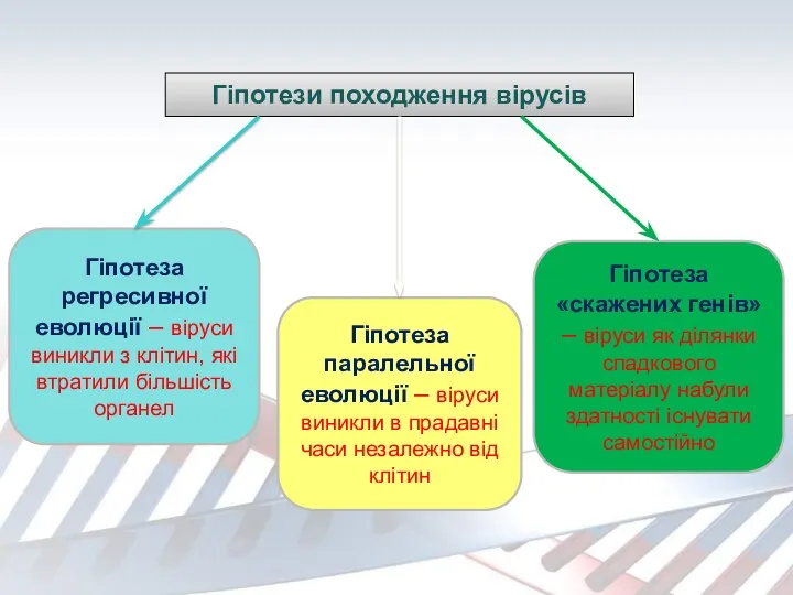 Гіпотези походження вірусів Гіпотеза регресивної еволюції – віруси виникли з