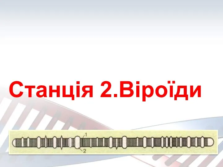 Станція 2.Віроїди