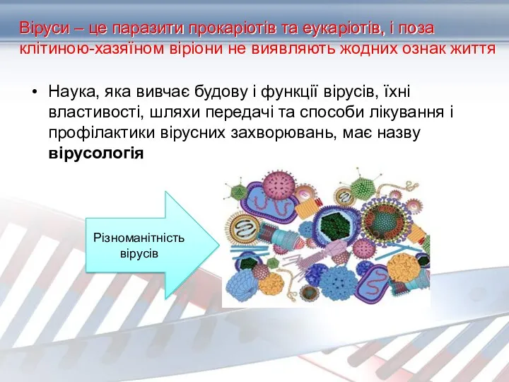 Віруси – це паразити прокаріотів та еукаріотів, і поза клітиною-хазяїном