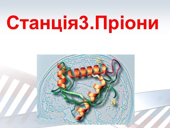 Станція3.Пріони