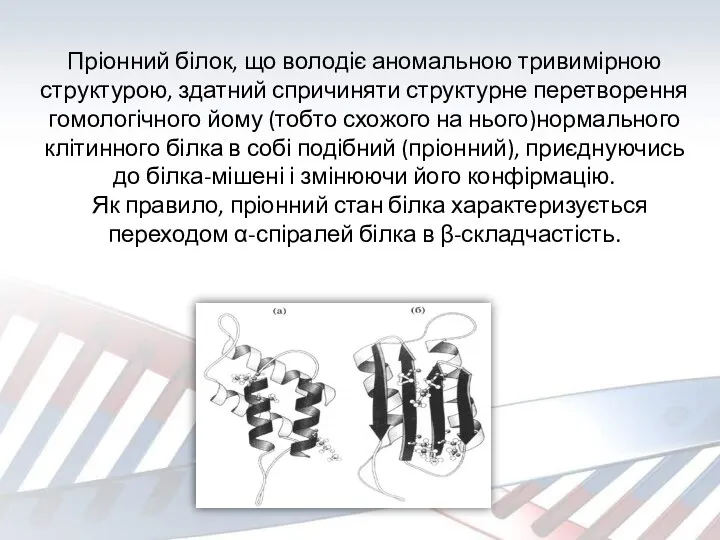 Пріонний білок, що володіє аномальною тривимірною структурою, здатний спричиняти структурне