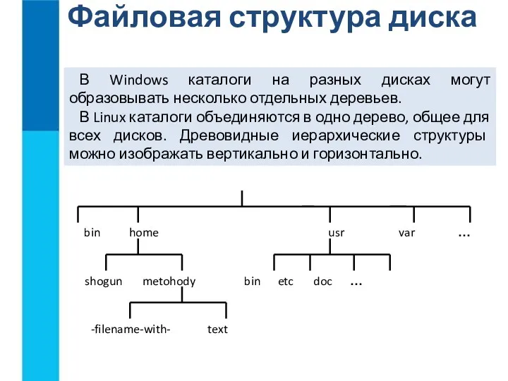 Файловая структура диска В Windows каталоги на разных дисках могут образовывать несколько отдельных