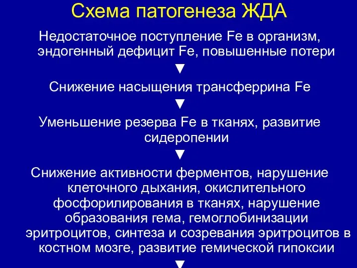 Схема патогенеза ЖДА Недостаточное поступление Fe в организм, эндогенный дефицит