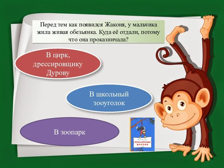 Перед тем как появился Жаконя, у мальчика жила живая обезьянка.