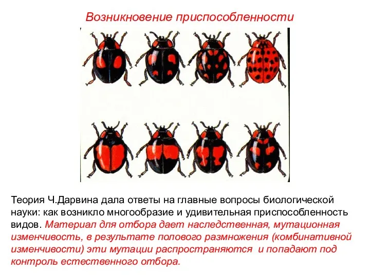 Теория Ч.Дарвина дала ответы на главные вопросы биологической науки: как