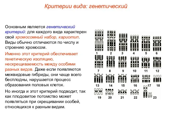 Основным является генетический критерий: для каждого вида характерен свой хромосомный