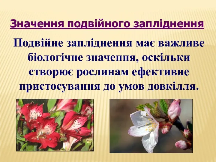 Подвійне запліднення має важливе біологічне значення, оскільки створює рослинам ефективне