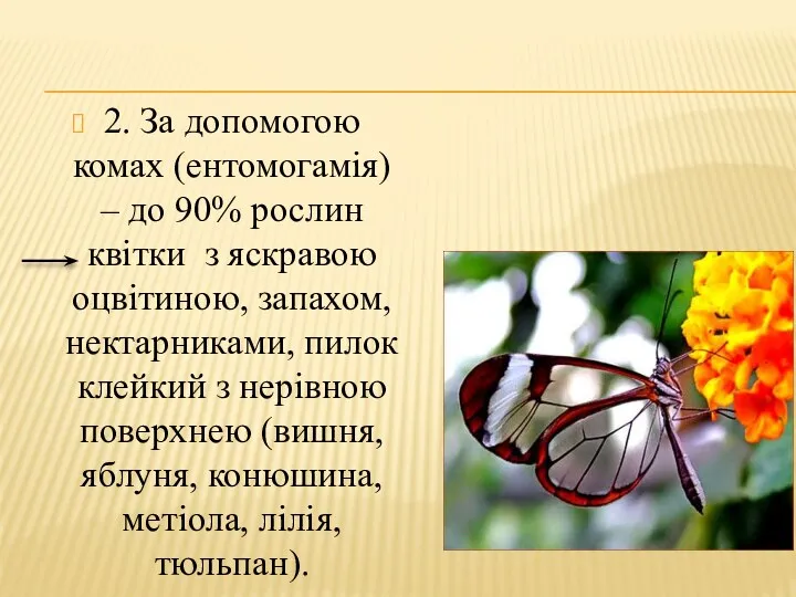 2. За допомогою комах (ентомогамія) – до 90% рослин квітки