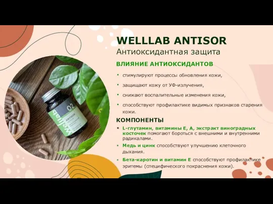 WELLLAB ANTISOR Антиоксидантная защита ВЛИЯНИЕ АНТИОКСИДАНТОВ стимулируют процессы обновления кожи,