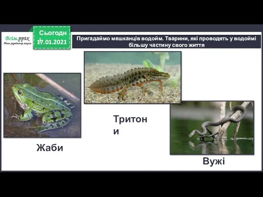 17.01.2021 Сьогодні Пригадаймо мешканців водойм. Тварини, які проводять у водоймі