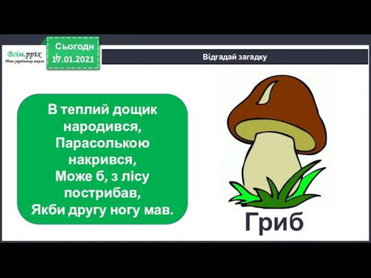 17.01.2021 Сьогодні Відгадай загадку В теплий дощик народився, Парасолькою накрився,