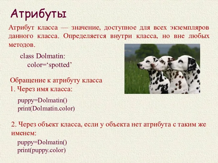 Атрибуты Атрибут класса — значение, доступное для всех экземпляров данного