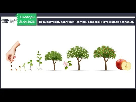 16.04.2023 Сьогодні Як виростають рослини? Розглянь зображення та склади розповідь