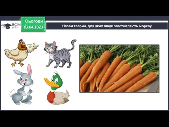 13.04.2023 Сьогодні Назви тварин, для яких люди заготовляють моркву