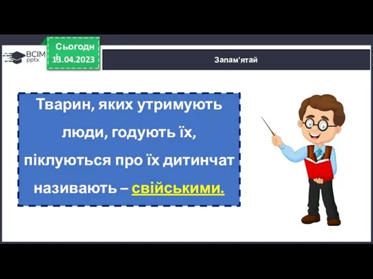 13.04.2023 Сьогодні Запам'ятай Тварин, яких утримують люди, годують їх, піклуються про їх дитинчат називають – свійськими.