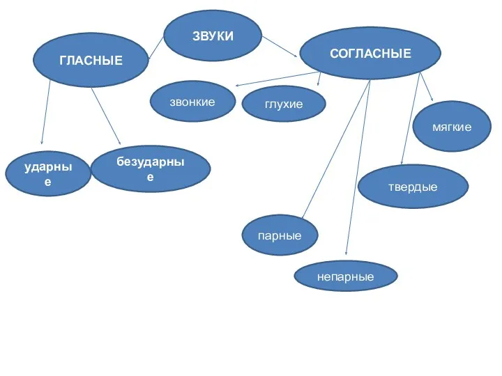 ЗВУКИ ГЛАСНЫЕ СОГЛАСНЫЕ ударные безударные звонкие твердые глухие мягкие парные непарные