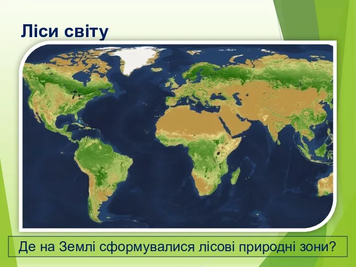 Ліси світу Де на Землі сформувалися лісові природні зони?