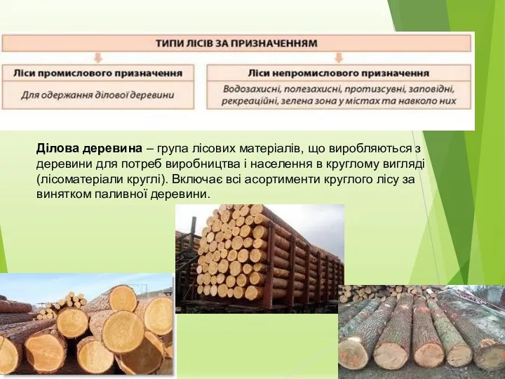 Ділова деревина – група лісових матеріалів, що виробляються з деревини