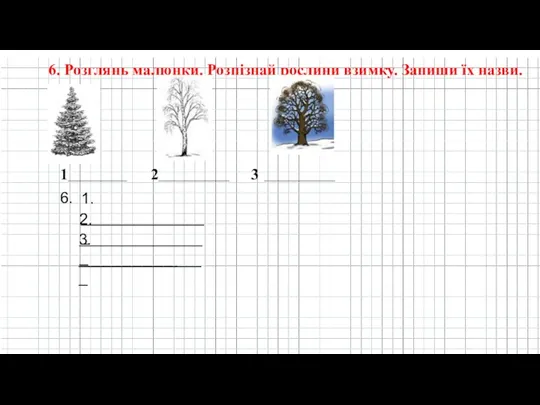 6. Розглянь малюнки. Розпізнай рослини взимку. Запиши їх назви. 1_______________