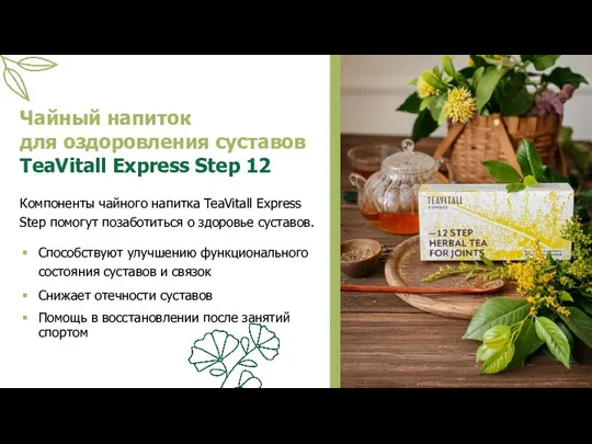 Чайный напиток для оздоровления суставов TeaVitall Express Step 12 Компоненты