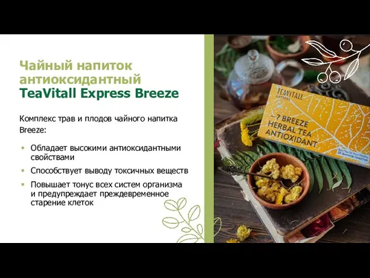 Чайный напиток антиоксидантный TeaVitall Express Breeze Комплекс трав и плодов