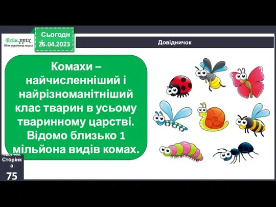 26.04.2023 Сьогодні Довідничок Комахи – найчисленніший і найрізноманітніший клас тварин