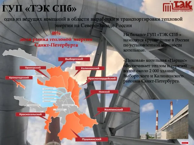 ГУП «ТЭК СПб» 48% доля рынка тепловой энергии Санкт-Петербурга одна