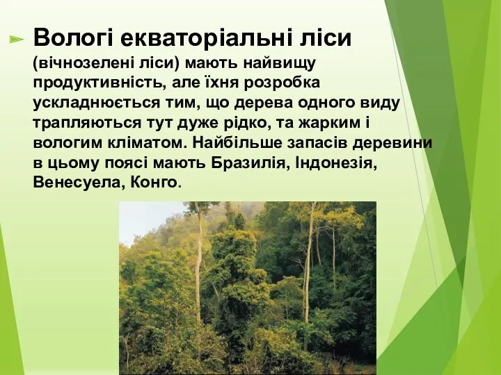 Вологі екваторіальні ліси (вічнозелені ліси) мають найвищу продуктивність, але їхня