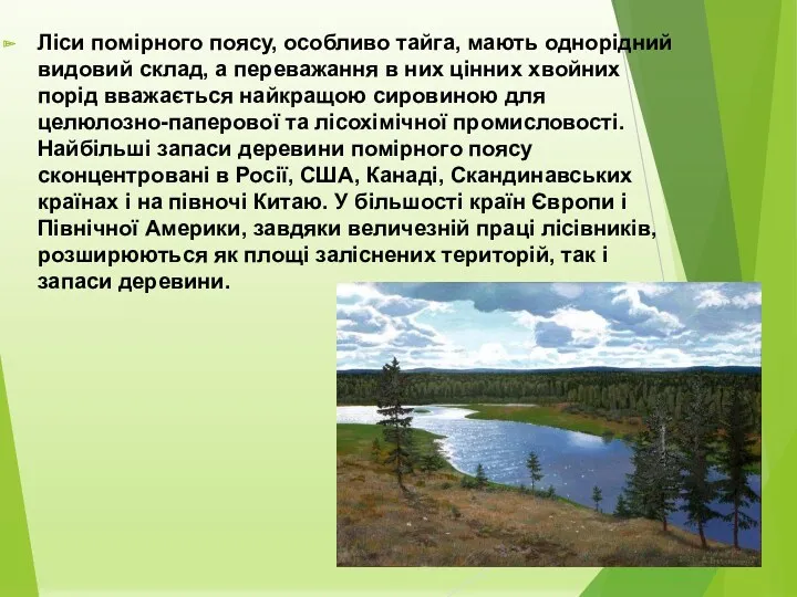 Ліси помірного поясу, особливо тайга, мають однорідний видовий склад, а