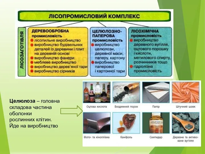 Целюлоза – головна складова частина оболонки рослинних клітин. Йде на виробництво