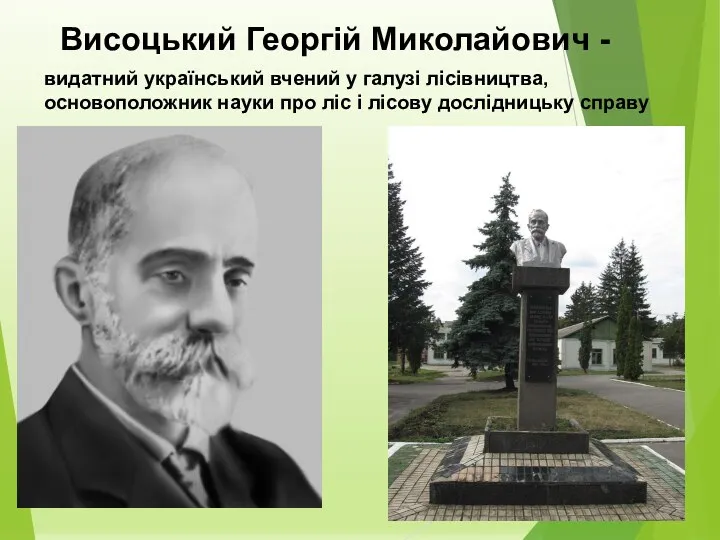 Висоцький Георгій Миколайович - видатний український вчений у галузі лісівництва,