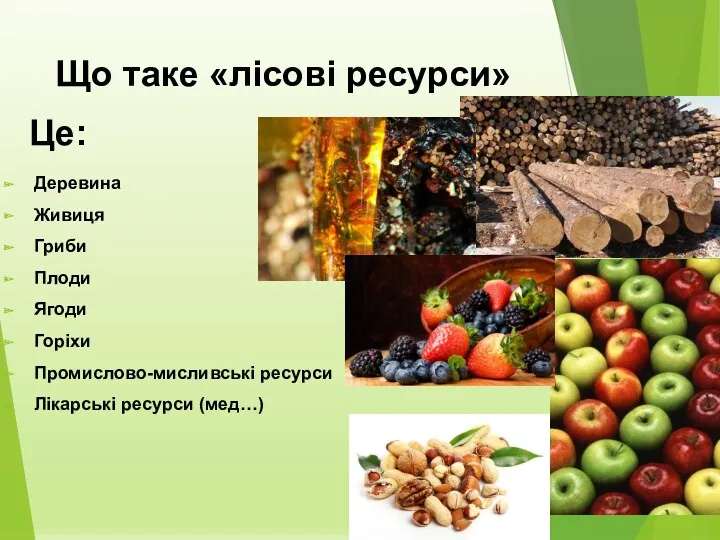 Що таке «лісові ресурси» Деревина Живиця Гриби Плоди Ягоди Горіхи Промислово-мисливські ресурси Лікарські ресурси (мед…) Це: