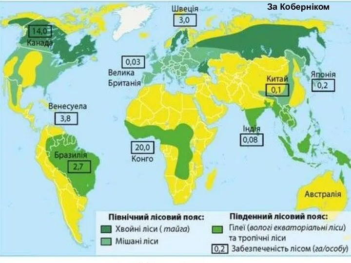 За Коберніком