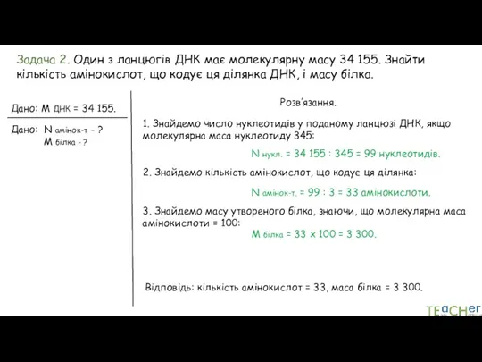 Задача 2. Один з ланцюгів ДНК має молекулярну масу 34 155. Знайти кількість